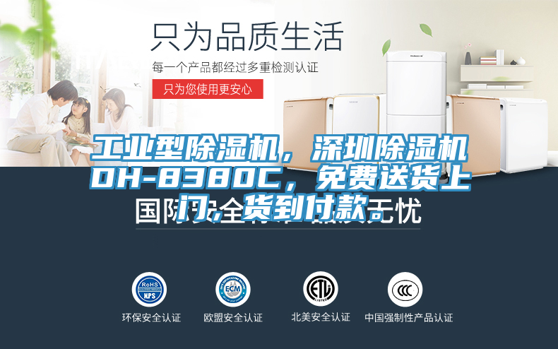 工業(yè)型除濕機，深圳除濕機DH-8380C，免費送貨上門，貨到付款。