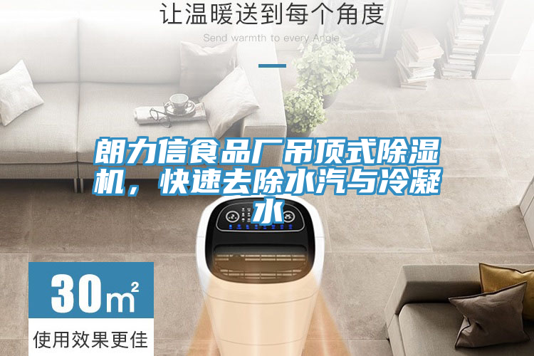 朗力信食品廠吊頂式除濕機，快速去除水汽與冷凝水