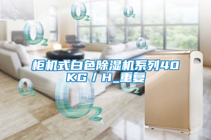 柜機式白色除濕機系列40KG／H_重復(fù)