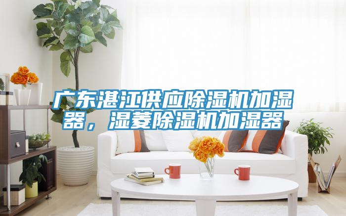 廣東湛江供應(yīng)除濕機加濕器，濕菱除濕機加濕器