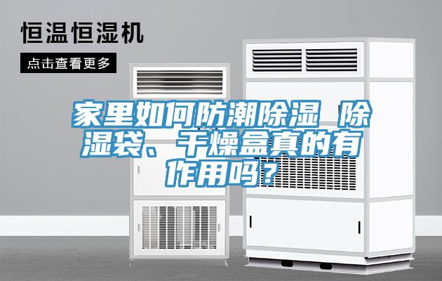 家里如何防潮除濕 除濕袋、干燥盒真的有作用嗎？