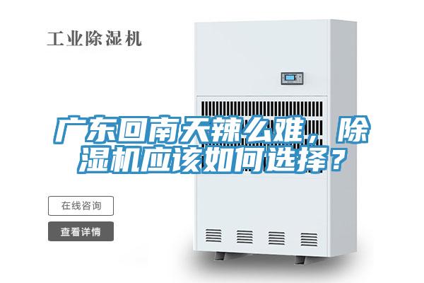 廣東回南天辣么難，除濕機應(yīng)該如何選擇？