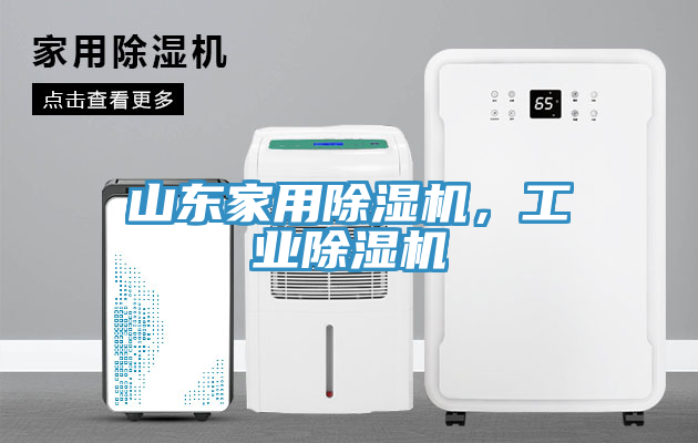 山東家用除濕機，工業(yè)除濕機