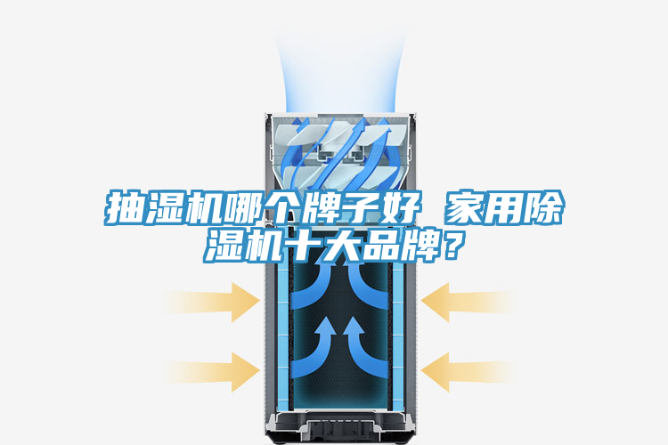 抽濕機(jī)哪個(gè)牌子好 家用除濕機(jī)十大品牌？