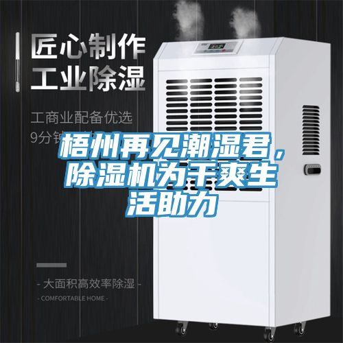 梧州再見潮濕君，除濕機為干爽生活助力