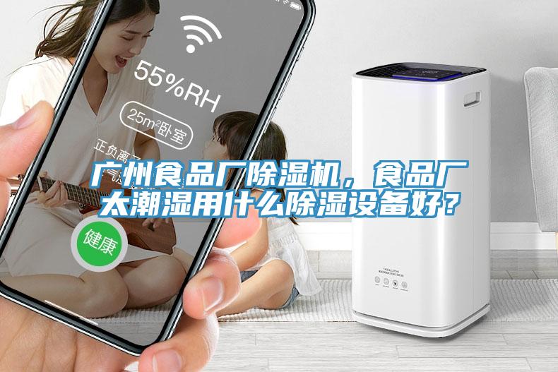 廣州食品廠除濕機，食品廠太潮濕用什么除濕設備好？
