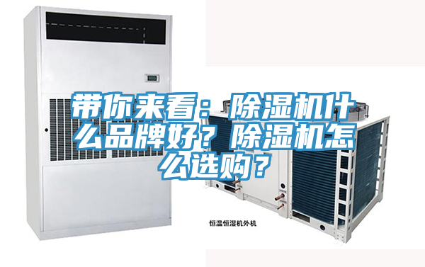 帶你來看：除濕機什么品牌好？除濕機怎么選購？