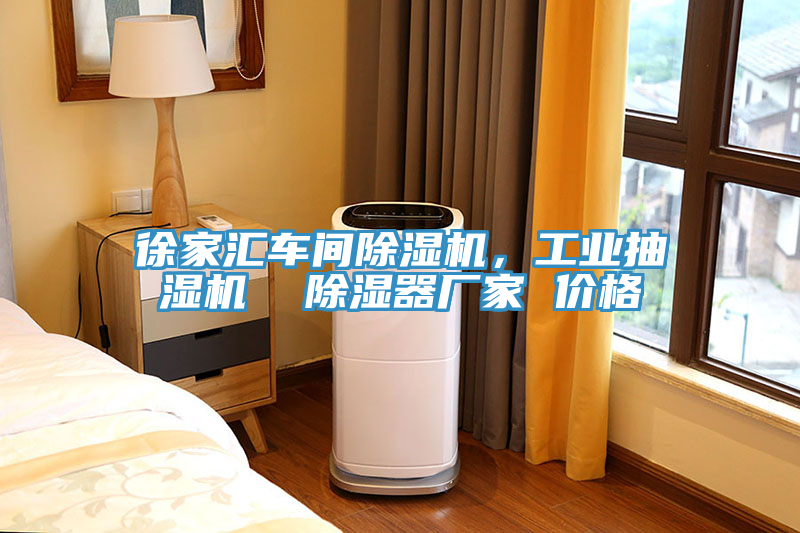徐家匯車間除濕機(jī)，工業(yè)抽濕機(jī)  除濕器廠家 價格