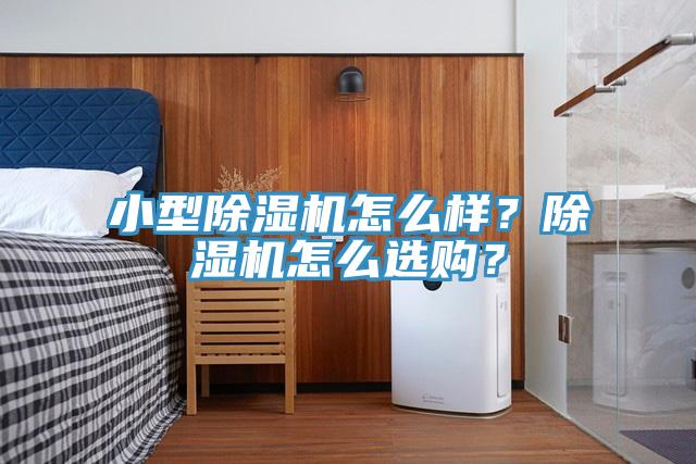 小型除濕機(jī)怎么樣？除濕機(jī)怎么選購(gòu)？