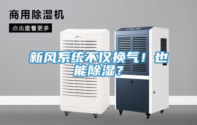 新風(fēng)系統(tǒng)不僅換氣！也能除濕？