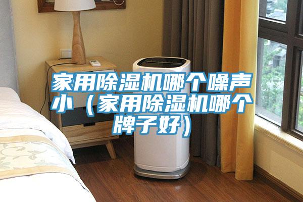 家用除濕機哪個噪聲?。矣贸凉駲C哪個牌子好）