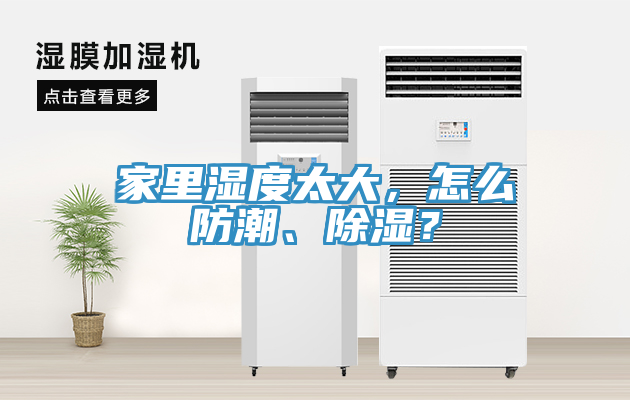 家里濕度太大，怎么防潮、除濕？