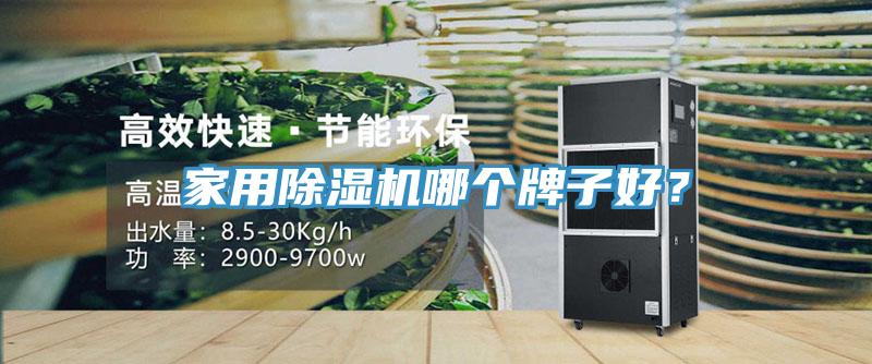 家用除濕機哪個牌子好？