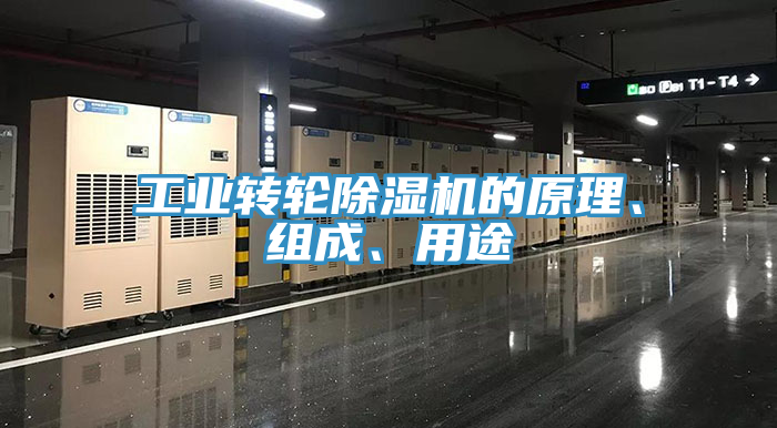工業(yè)轉(zhuǎn)輪除濕機的原理、組成、用途