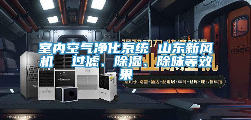 室內(nèi)空氣凈化系統(tǒng) 山東新風(fēng)機  過濾、除濕、除味等效果