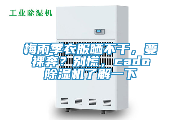 梅雨季衣服曬不干，要裸奔？別慌，cado除濕機了解一下