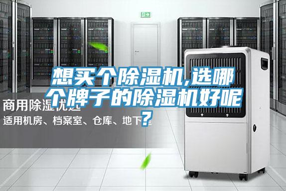 想買個(gè)除濕機(jī),選哪個(gè)牌子的除濕機(jī)好呢？