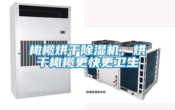 橄欖烘干除濕機，烘干橄欖更快更衛(wèi)生