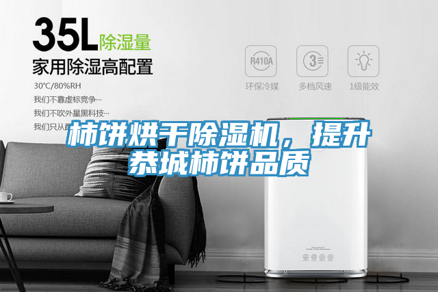 柿餅烘干除濕機，提升恭城柿餅品質(zhì)