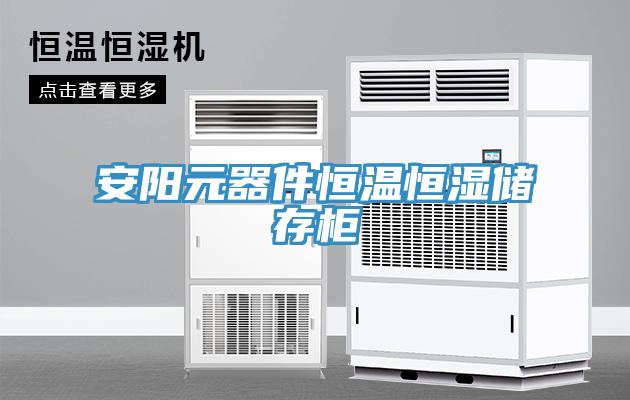 安陽元器件恒溫恒濕儲(chǔ)存柜