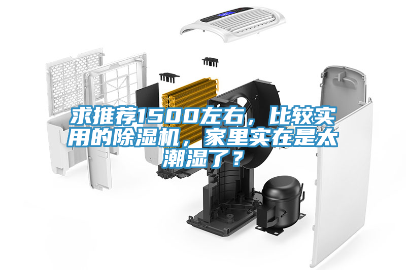 求推薦1500左右，比較實(shí)用的除濕機(jī)，家里實(shí)在是太潮濕了？