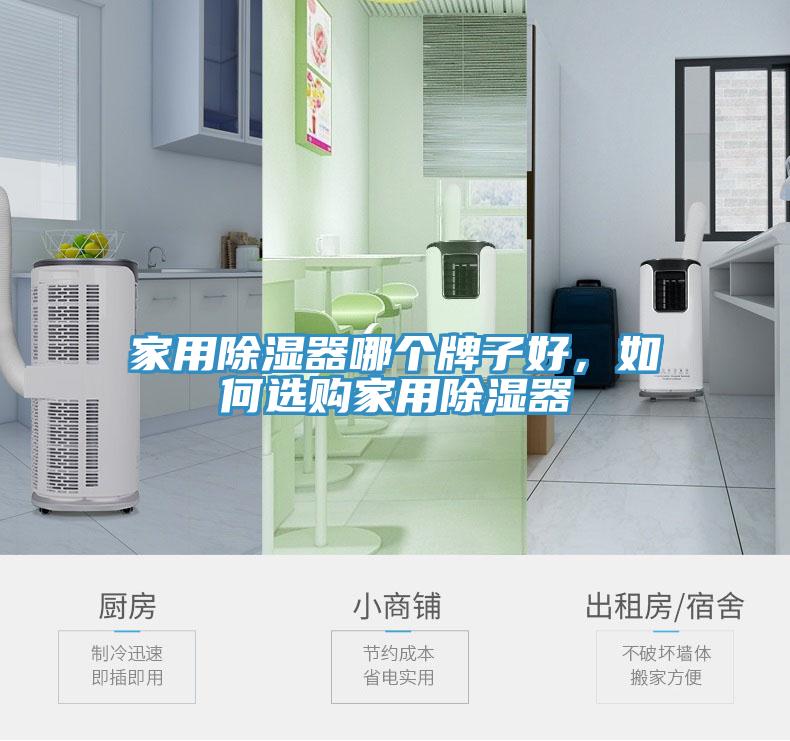 家用除濕器哪個牌子好，如何選購家用除濕器
