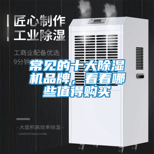 常見的十大除濕機品牌，看看哪些值得購買
