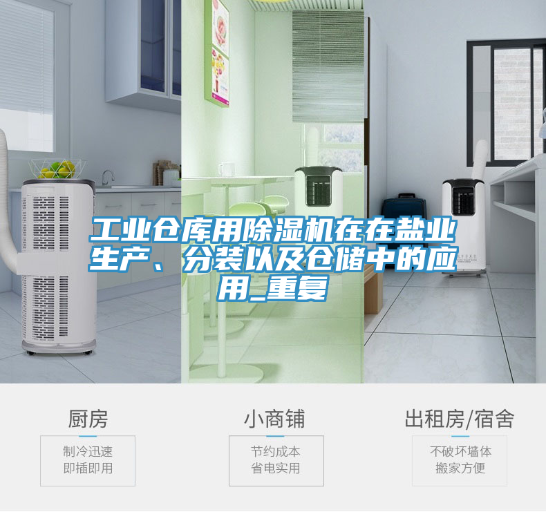 工業(yè)倉(cāng)庫(kù)用除濕機(jī)在在鹽業(yè)生產(chǎn)、分裝以及倉(cāng)儲(chǔ)中的應(yīng)用_重復(fù)