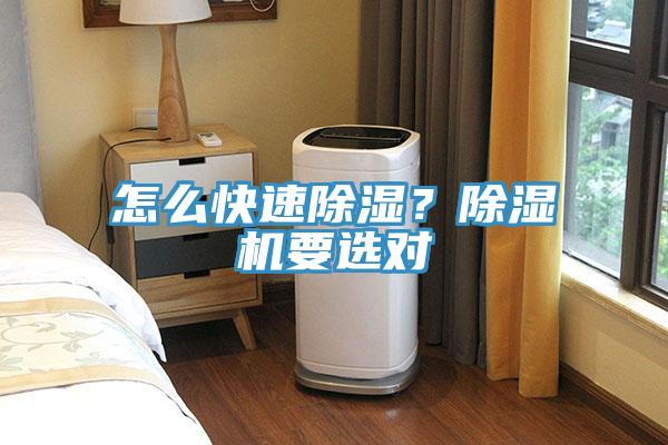 怎么快速除濕？除濕機要選對