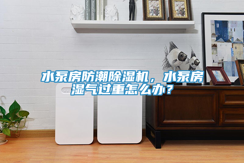 水泵房防潮除濕機(jī)，水泵房濕氣過重怎么辦？