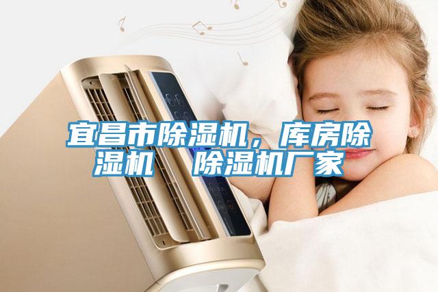 宜昌市除濕機(jī)，庫房除濕機(jī)  除濕機(jī)廠家