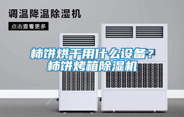 柿餅烘干用什么設備？柿餅烤箱除濕機
