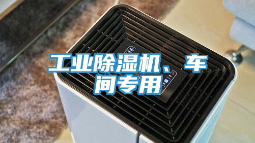 工業(yè)除濕機(jī)、車間專用