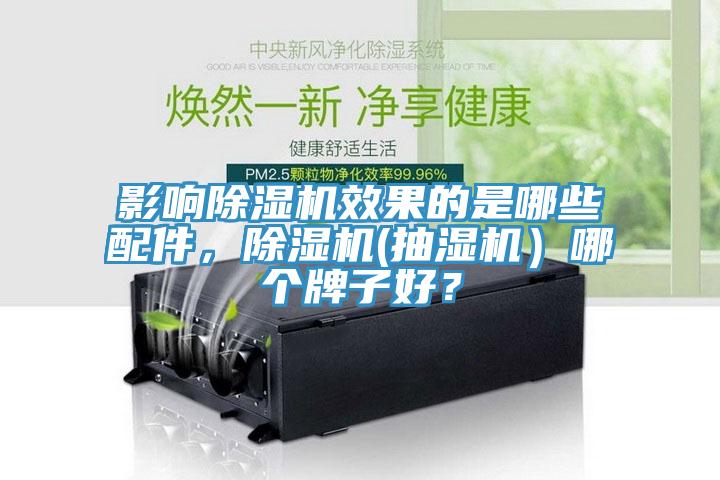 影響除濕機效果的是哪些配件，除濕機(抽濕機）哪個牌子好？
