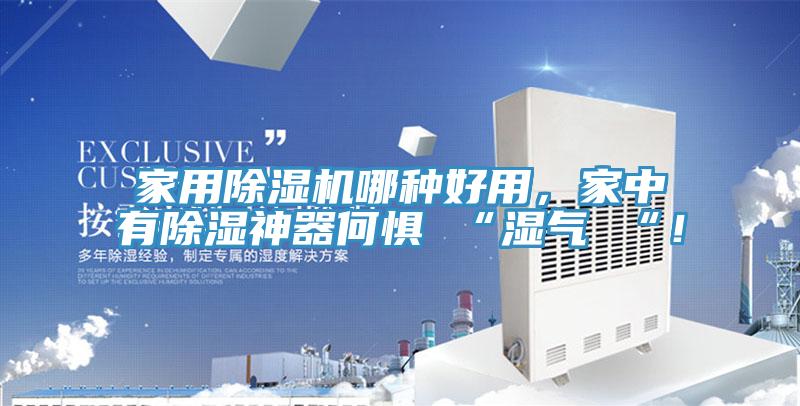 家用除濕機哪種好用，家中有除濕神器何懼 “濕氣 “！