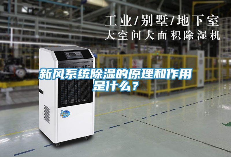 新風(fēng)系統(tǒng)除濕的原理和作用是什么？