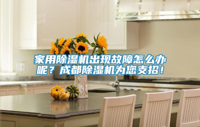 家用除濕機(jī)出現(xiàn)故障怎么辦呢？成都除濕機(jī)為您支招！