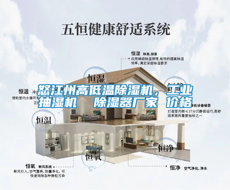 怒江州高低溫除濕機(jī)，工業(yè)抽濕機(jī)  除濕器廠家 價(jià)格