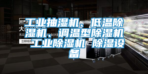 工業(yè)抽濕機、低溫除濕機、調(diào)溫型除濕機 工業(yè)除濕機 除濕設(shè)備