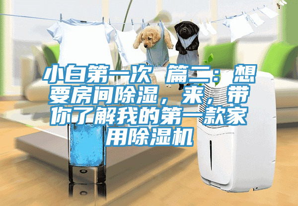 小白第一次 篇二：想要房間除濕，來，帶你了解我的第一款家用除濕機(jī)