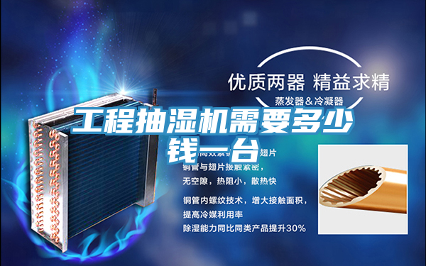 工程抽濕機(jī)需要多少錢(qián)一臺(tái)