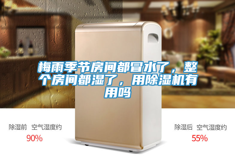 梅雨季節(jié)房間都冒水了，整個房間都濕了，用除濕機有用嗎