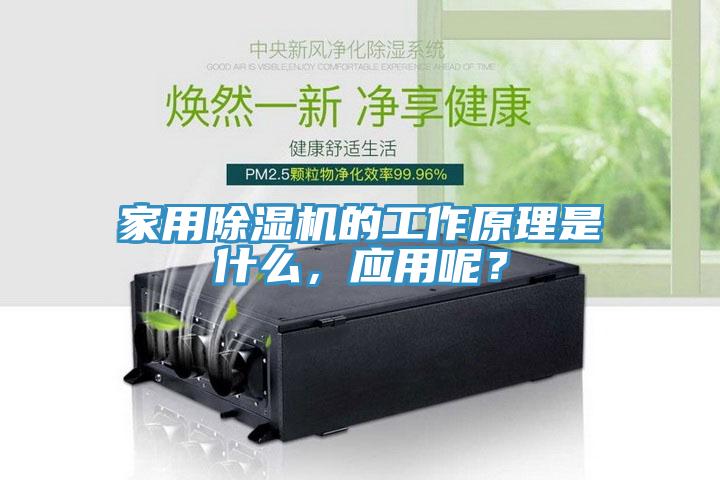 家用除濕機(jī)的工作原理是什么，應(yīng)用呢？