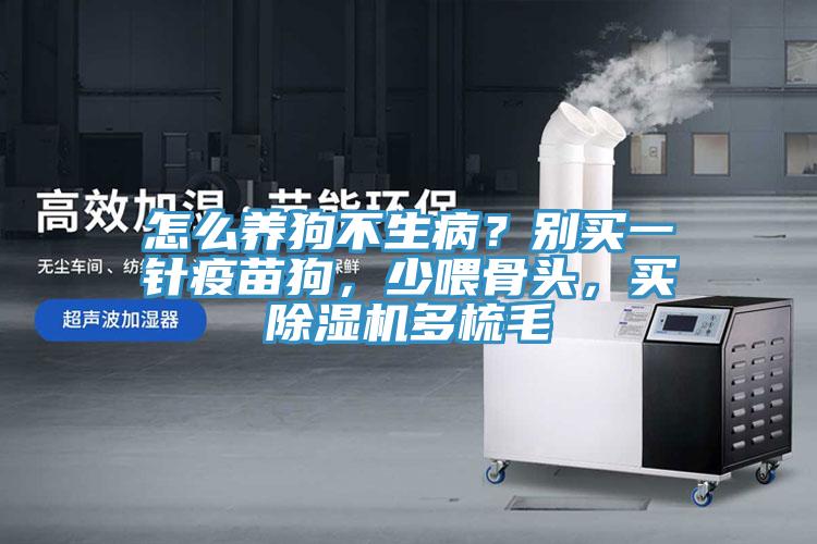 怎么養(yǎng)狗不生?。縿e買一針疫苗狗，少喂骨頭，買除濕機(jī)多梳毛