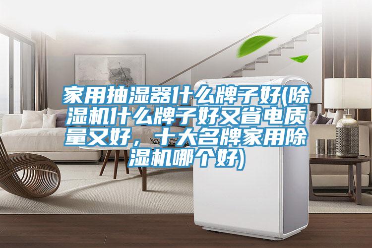 家用抽濕器什么牌子好(除濕機什么牌子好又省電質(zhì)量又好，十大名牌家用除濕機哪個好)