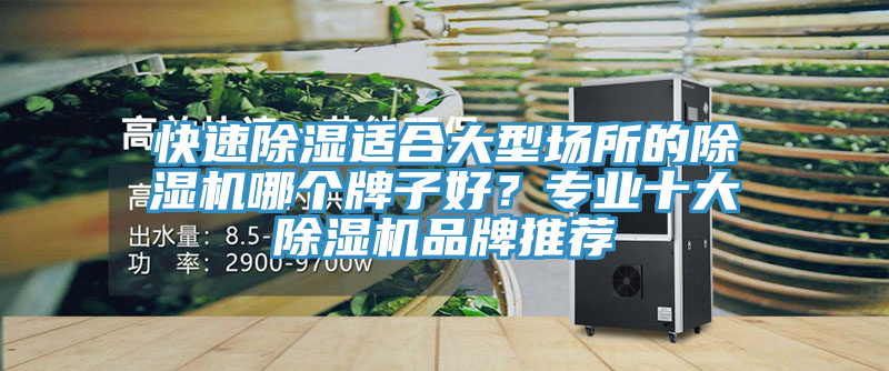 快速除濕適合大型場(chǎng)所的除濕機(jī)哪個(gè)牌子好？專(zhuān)業(yè)十大除濕機(jī)品牌推薦