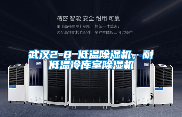 武漢2-8℃低溫除濕機(jī)，耐低溫冷庫(kù)室除濕機(jī)