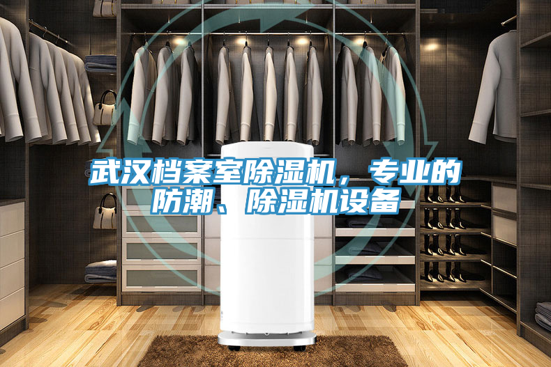 武漢檔案室除濕機(jī)，專業(yè)的防潮、除濕機(jī)設(shè)備