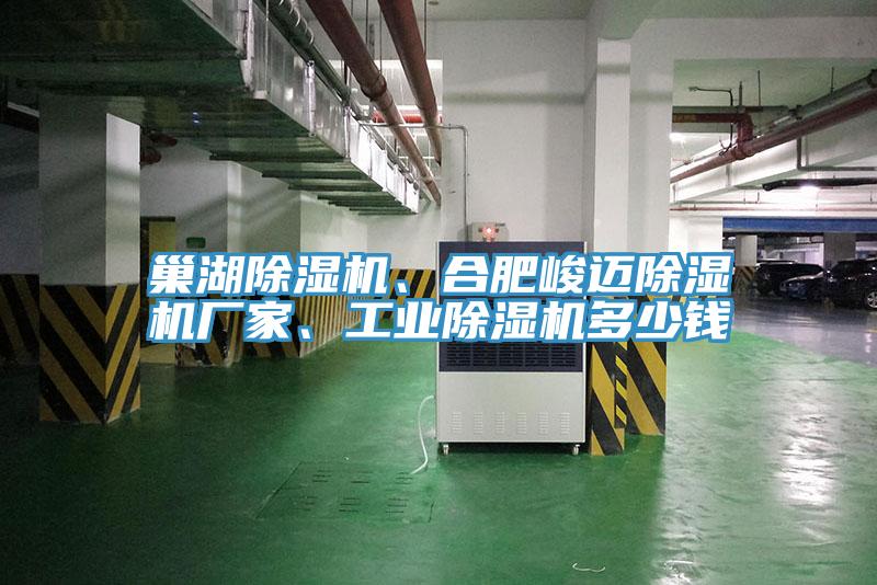 巢湖除濕機(jī)、合肥峻邁除濕機(jī)廠家、工業(yè)除濕機(jī)多少錢