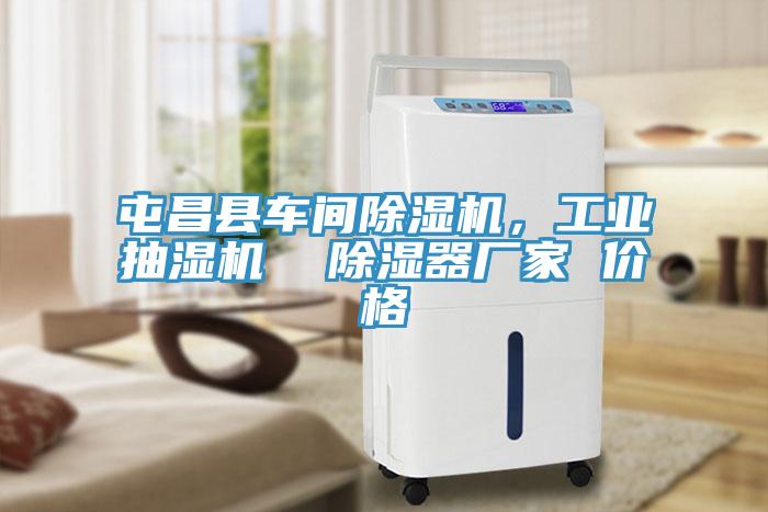 屯昌縣車間除濕機，工業(yè)抽濕機  除濕器廠家 價格